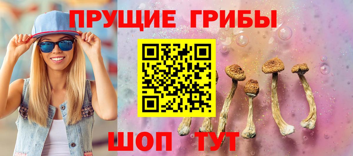 Сыктывкар  купить  сайты  Псилоцибиновые грибы Cubensis  Вход с VPN  Галлюциногенные грибы Cubensis 